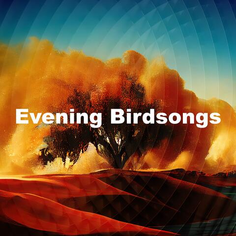 Evening Birdsongs album art