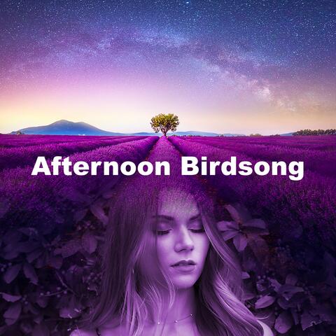 Afternoon Birdsong album art