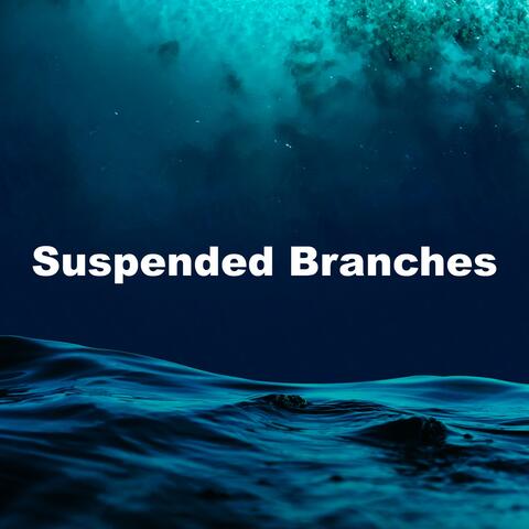 Suspended Branches album art