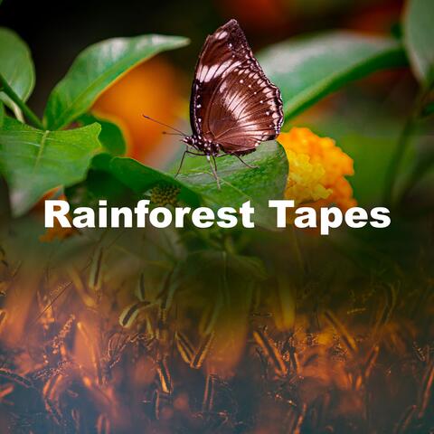 Rainforest Tapes album art