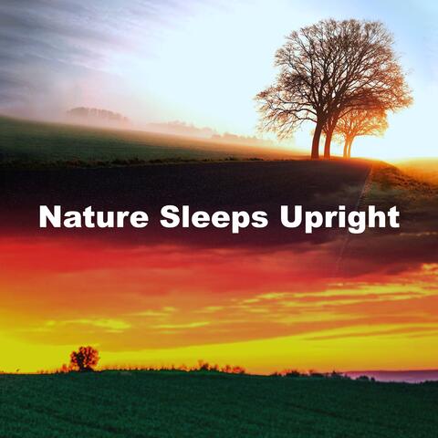 Nature Sleeps Upright album art