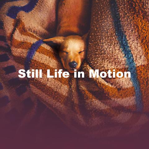 Still Life in Motion album art