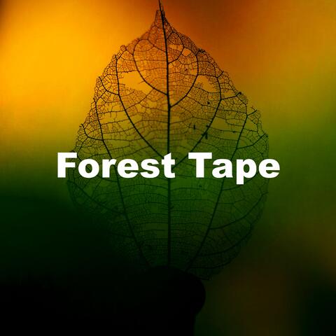Forest Tape album art