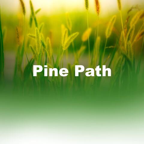 Pine Path album art