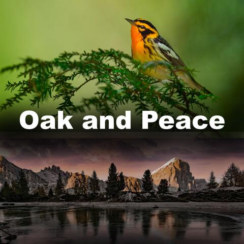 Oak and Peace album art