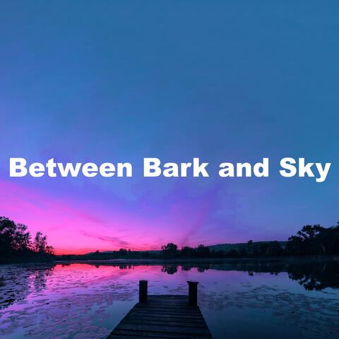 Between Bark and Sky album art