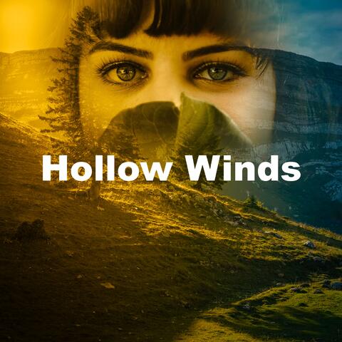Hollow Winds album art