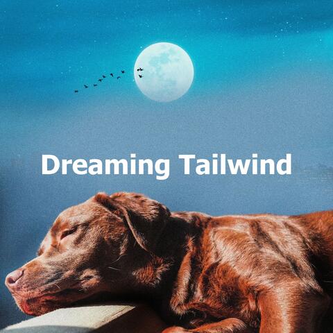 Dreaming Tailwind album art