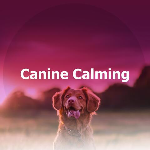 Canine Calming album art