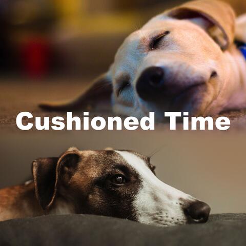 Cushioned Time album art