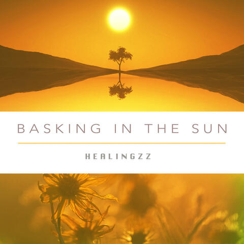 Basking In The Sun album art