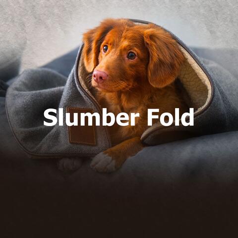 Slumber Fold album art