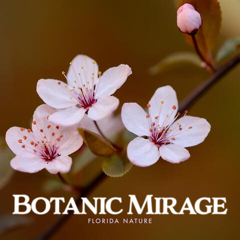 Botanic Mirage album art