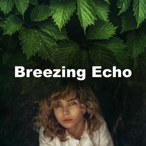 Breezing Echo album art