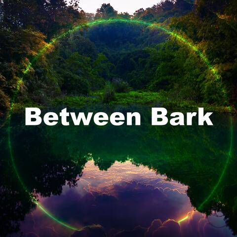 Between Bark album art