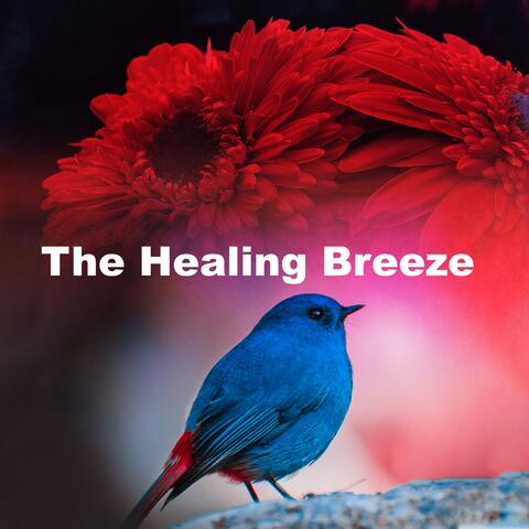 The Healing Breeze album art