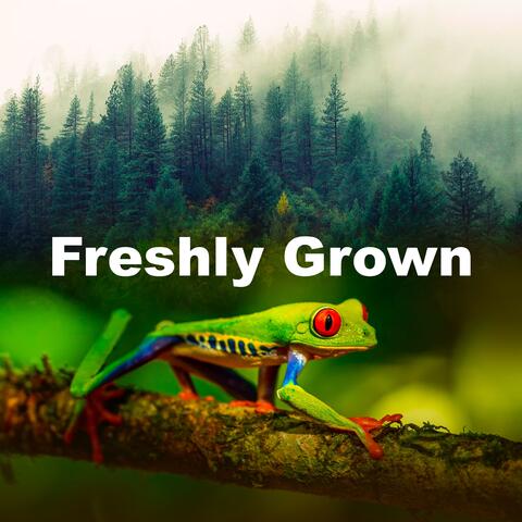 Freshly Grown album art