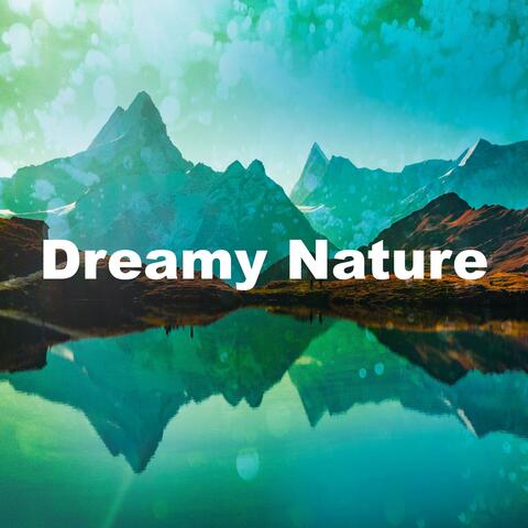 Dreamy Nature album art