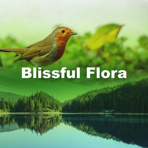 Blissful Flora album art
