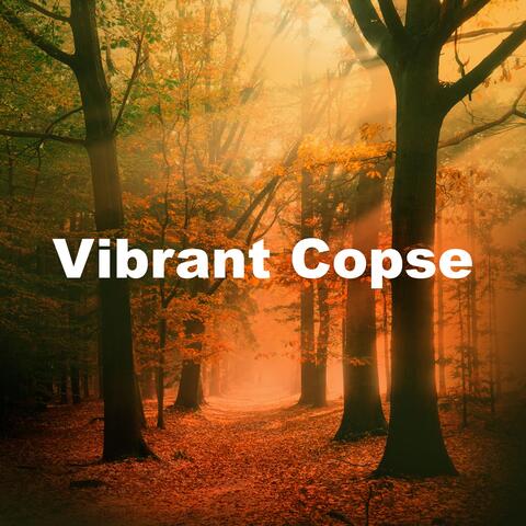 Vibrant Copse album art
