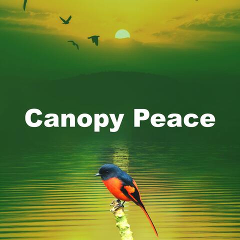 Canopy Peace album art