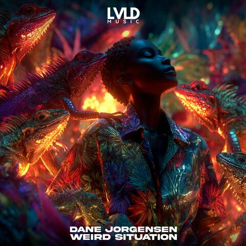 Weird Situation album art