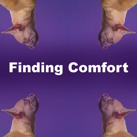 Finding Comfort album art