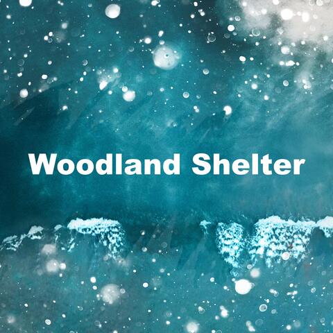 Woodland Shelter album art