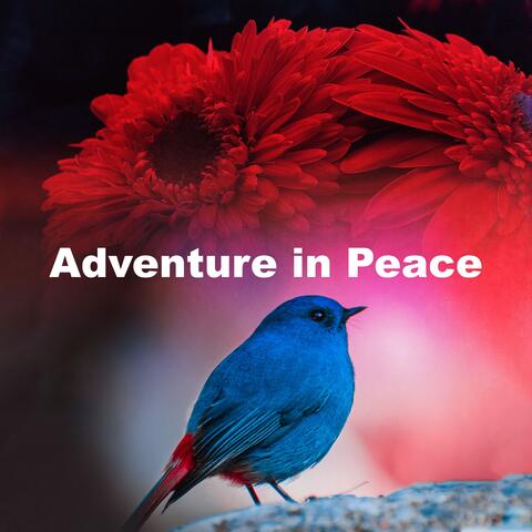 Adventure in Peace album art