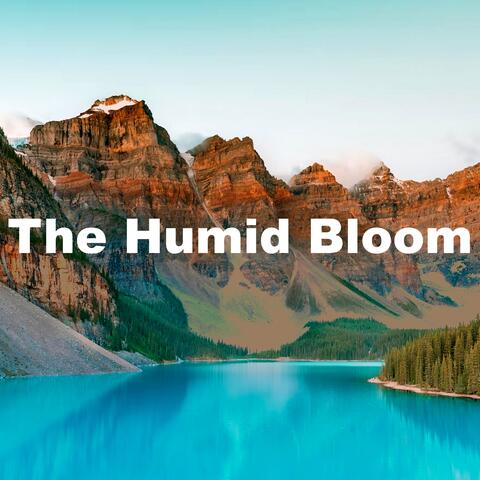 The Humid Bloom album art