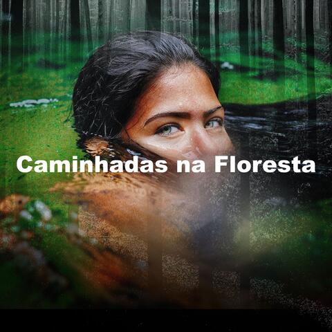 Caminhadas na Floresta album art