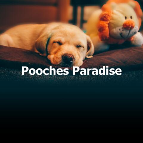 Pooches Paradise album art