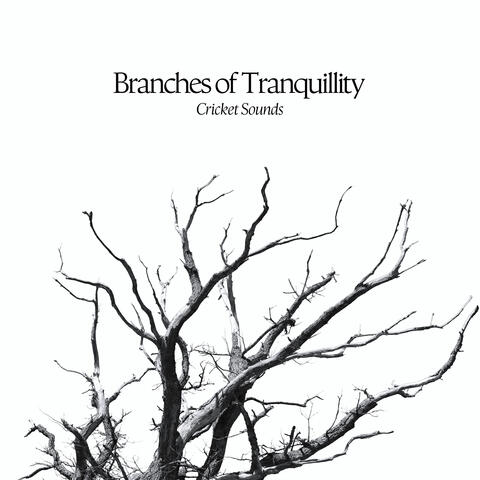Branches of Tranquillity album art