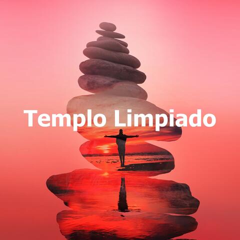 Templo Limpiado album art