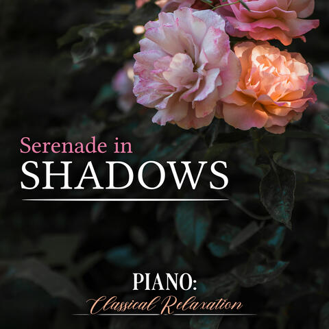 Serenade in Shadows album art