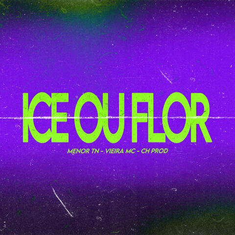 ICE OU FLOR album art