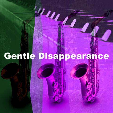 Gentle Disappearance album art