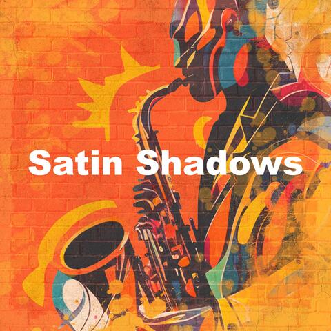 Satin Shadows album art