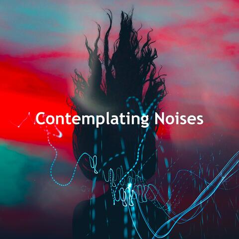 Contemplating Noises album art