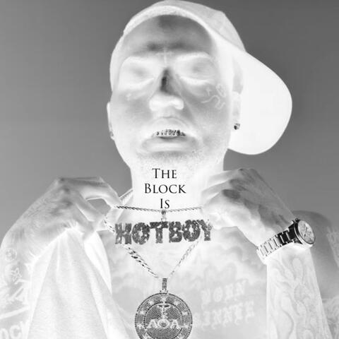 The Block is Hotboy Part II album art
