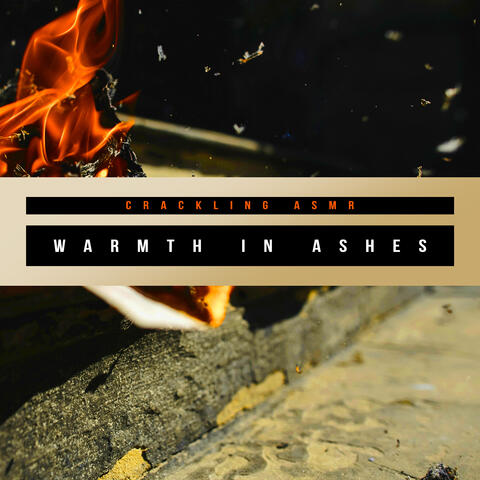 Warmth in Ashes album art