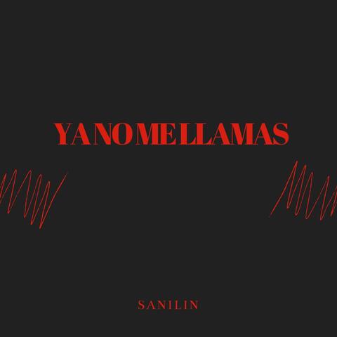 YA NO ME LLAMAS album art