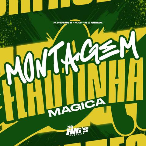 Montagem Flautinha Magica album art