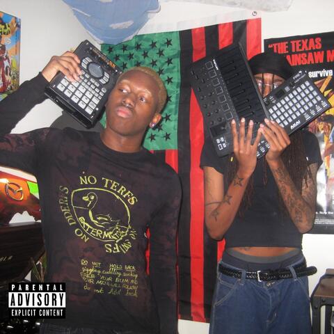 bags album art