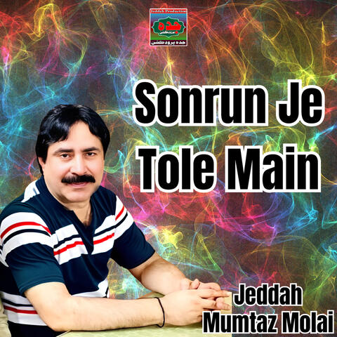 Sonrun Je Tole Main album art