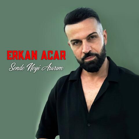 Sende Neyi Ararım album art