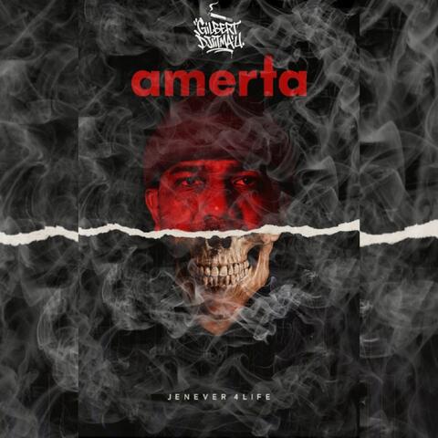 Amerta album art