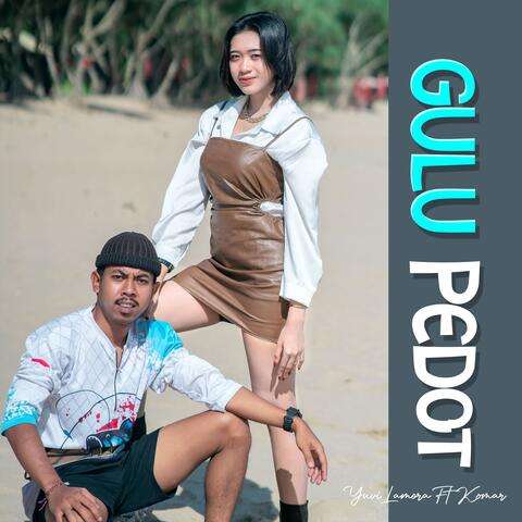 Gulu Pedot album art