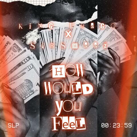 How Would you feel album art