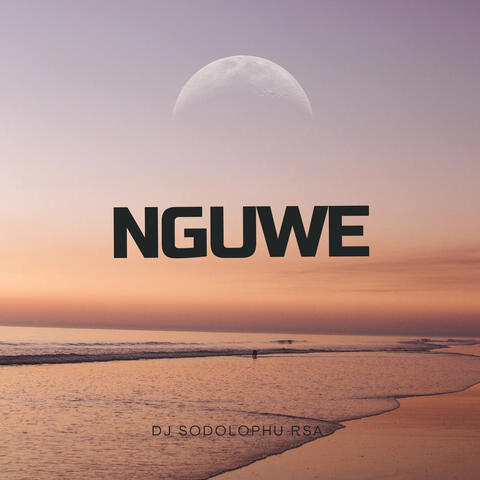 Nguwe album art